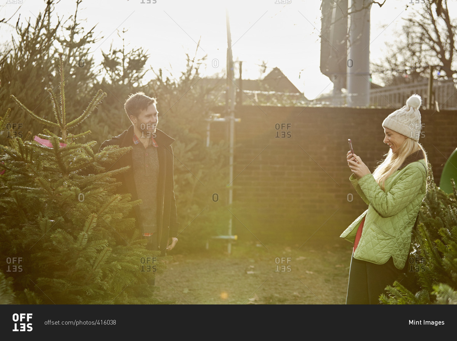 A man and woman choosing a traditional pine tree, Christmas tree from a large selection at a garden center