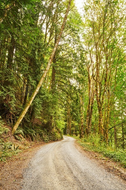 A rural road in Washington