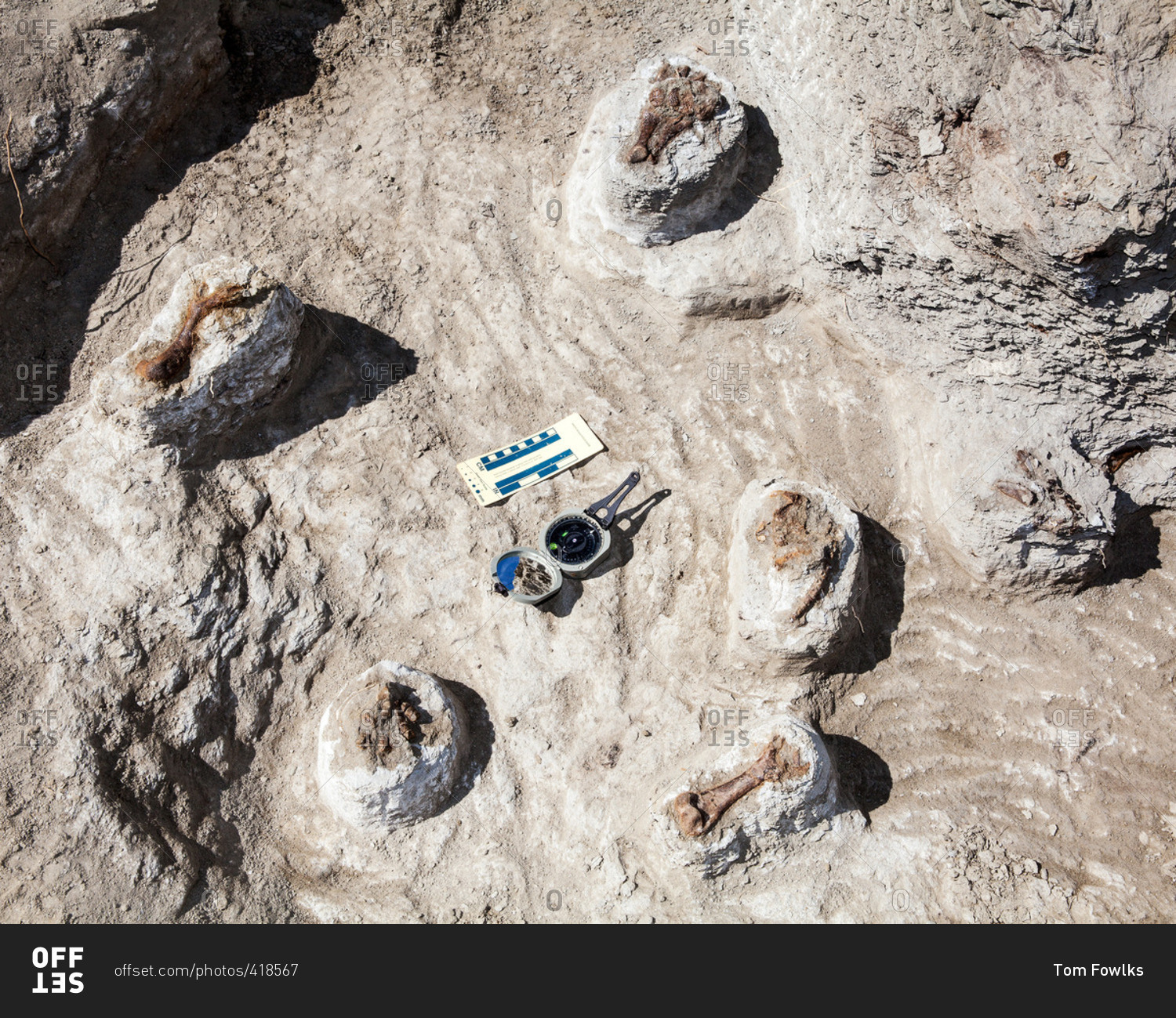 Documentation of fossils found in Utah's Kaiparowits Plateau stock