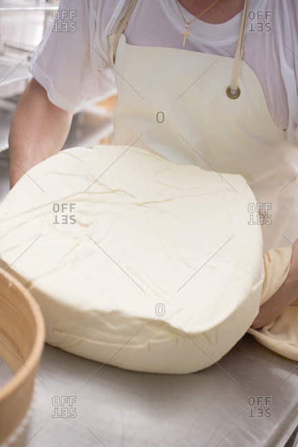Cheese dairy worker holding round cheese
