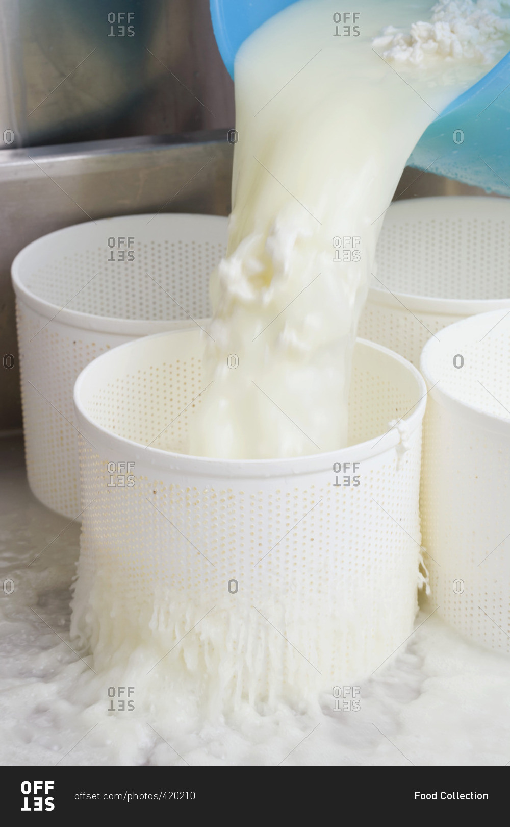 Cheese-making (Pouring cheese curds into perforated molds)