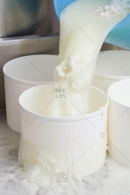 Cheese-making (Pouring cheese curds into perforated molds)