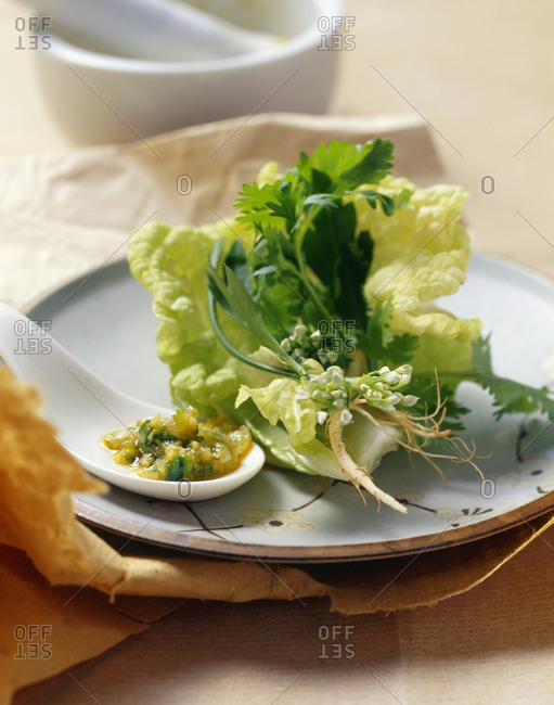 Spicy herb salad