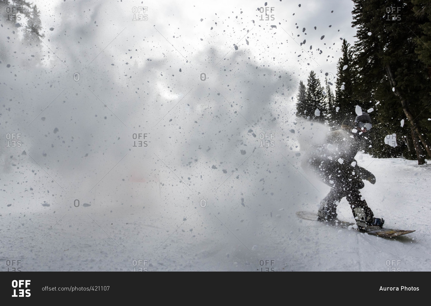 Snowboarder Sprays Snow Into The Air Riding A Groomed Trail During At Brighton Resort, Utah