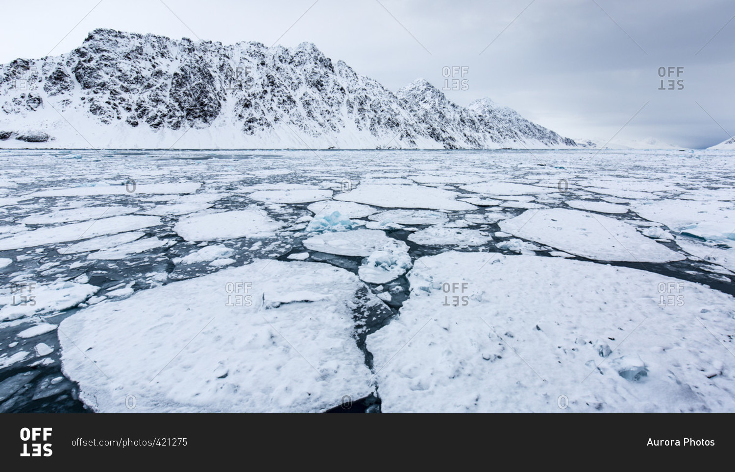 Fragmented Pack Ice On Deep Blue Arctic Sea With Rocky And Slightly Snowy Mountains In The Background