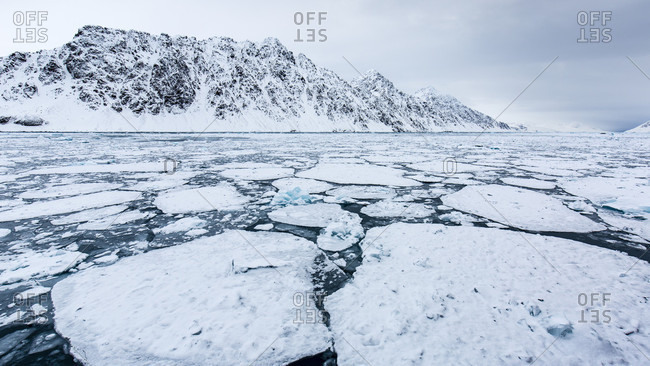Fragmented Pack Ice On Deep Blue Arctic Sea With Rocky And Slightly Snowy Mountains In The Background