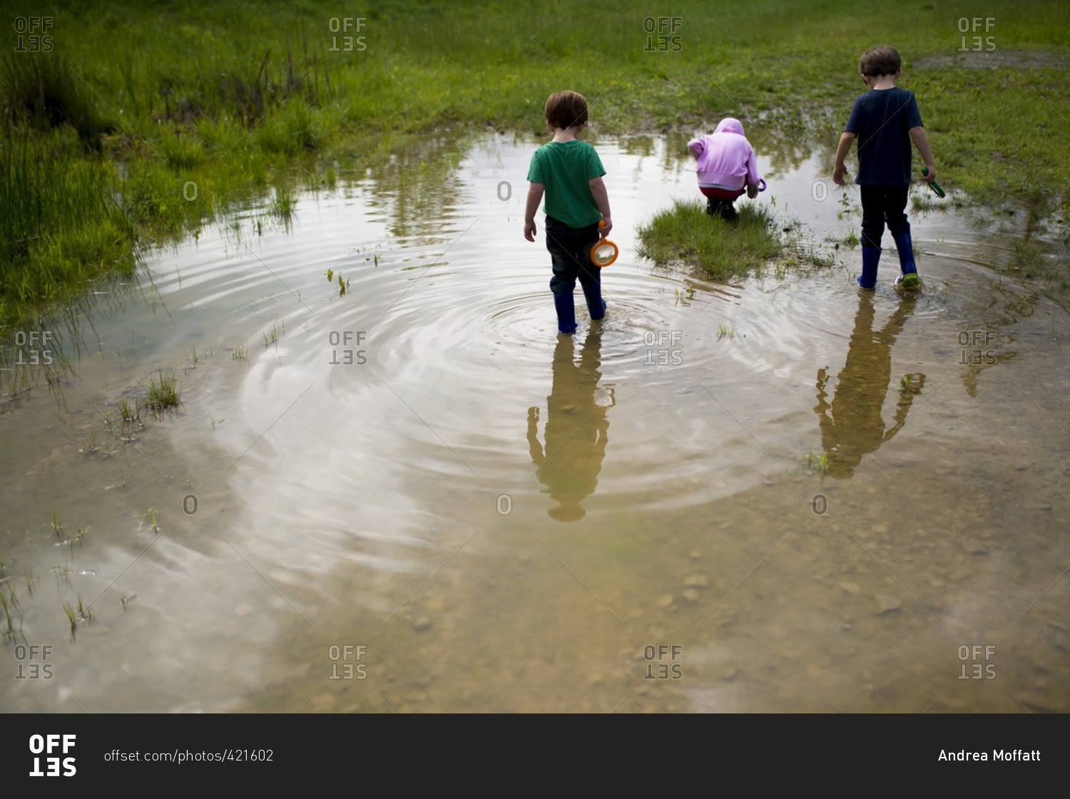 Kids playing in a wet field stock photo - OFFSET