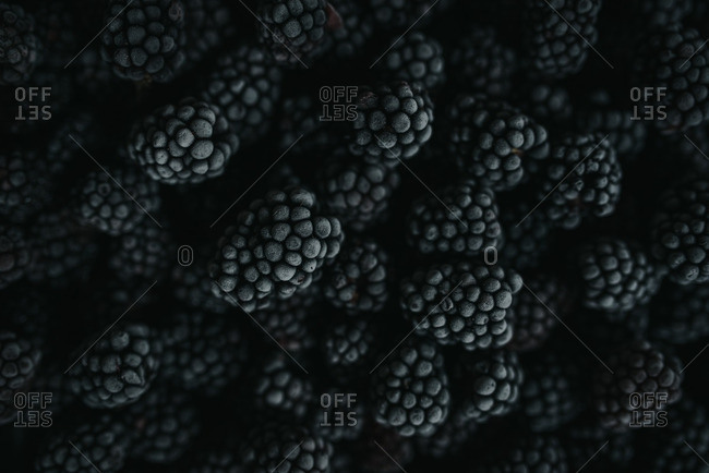Close up of blackberries