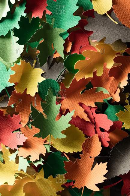 Many paper cutouts of a variety of leaves