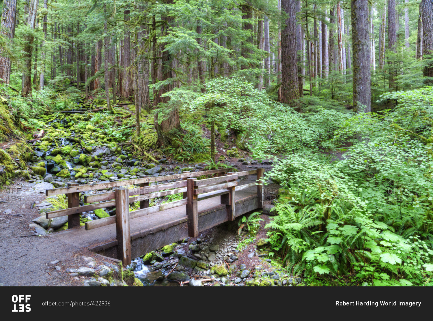 Foot Bridge, Trail to Sol Duc Falls, Rain Forest, Olympic National Park, UNESCO World Heritage Site, Washington, United States of America, North America