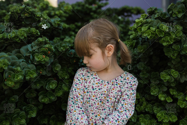 Portrait of toddler girl looking over shoulder in bushes