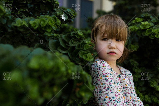 Portrait of toddler girl against green bushes