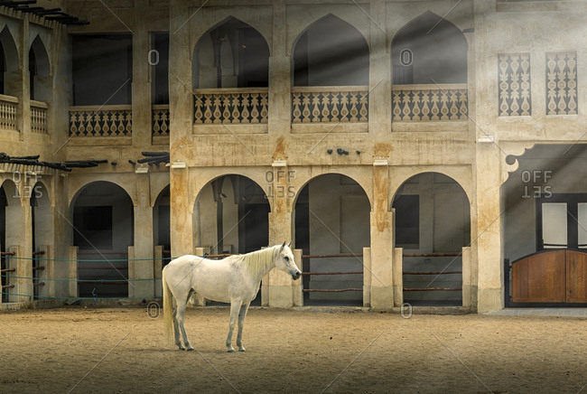 Horse standing in sunbeams near ornate building