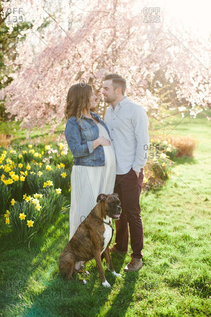 Expectant couple and dog outside
