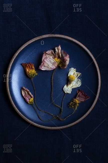 Dried flowers in a blue pottery plate