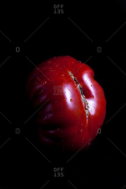 Fresh heirloom tomato on black background