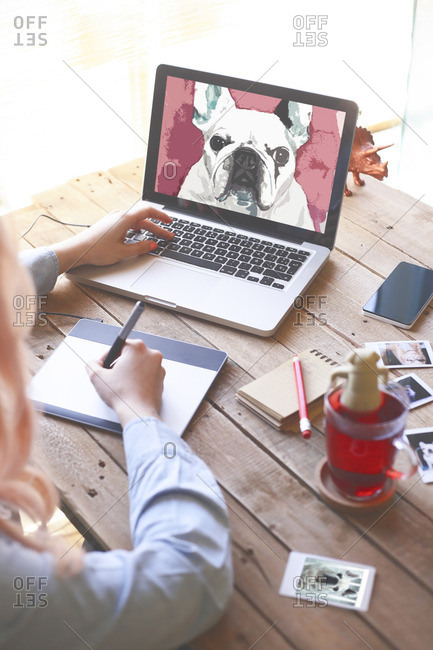 Illustrator drawing a French bulldog with a graphics tablet