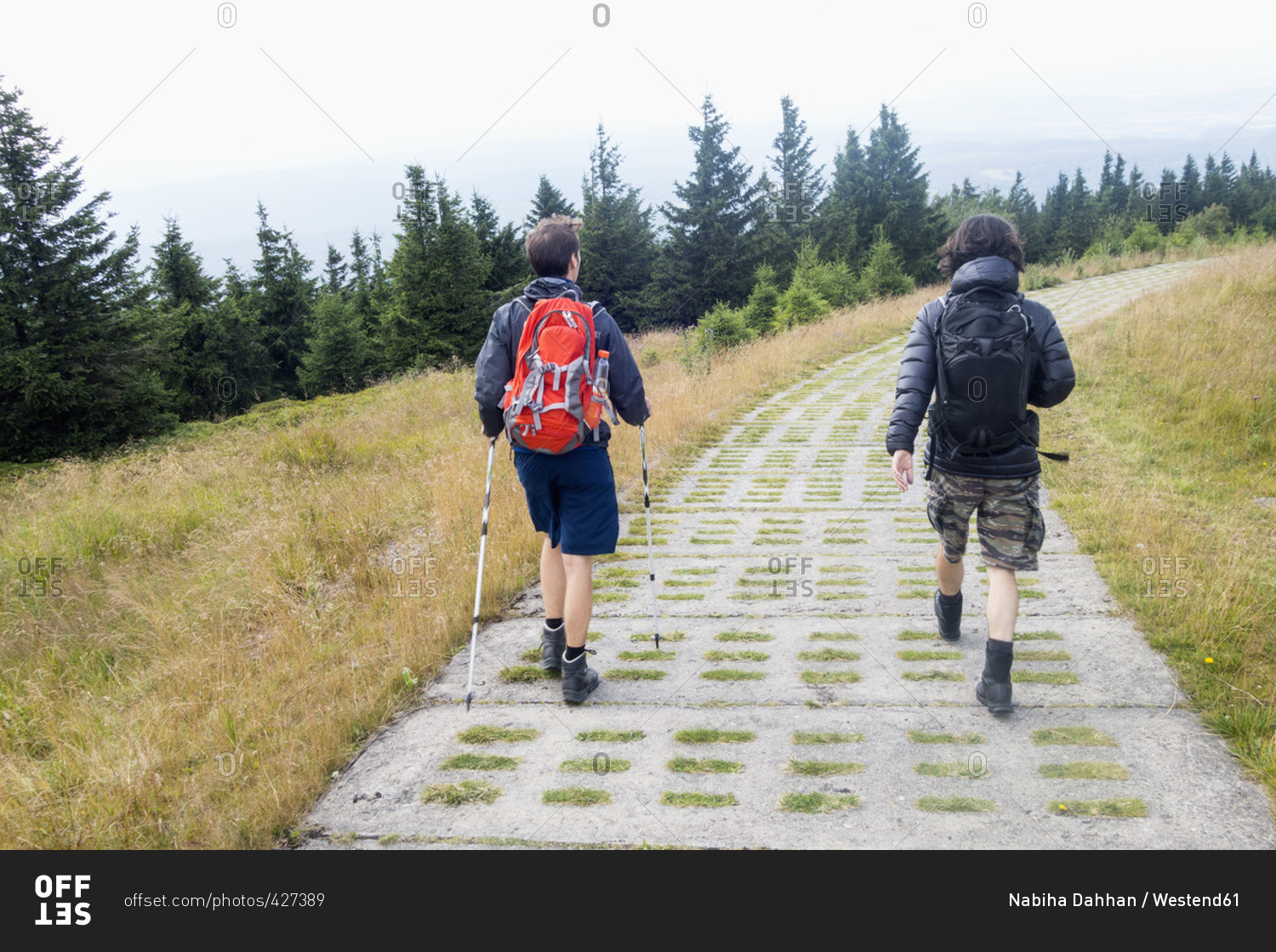 Germany, Harz, Brocken, back view of two friends hiking