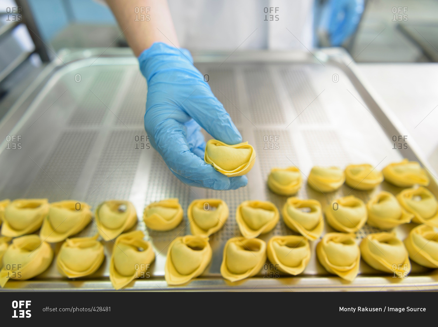 Workers hand making tortellini pasta in pasta factory