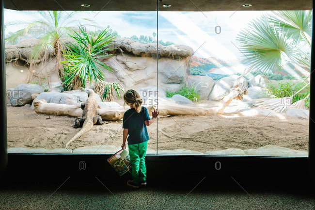Boy standing in front of an exhibit in a reptile house