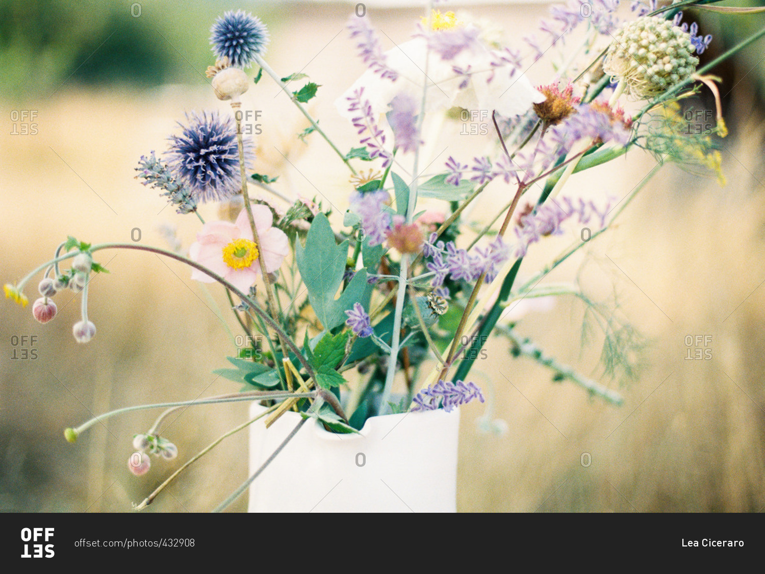 Close up of a flower arrangement with Echinops