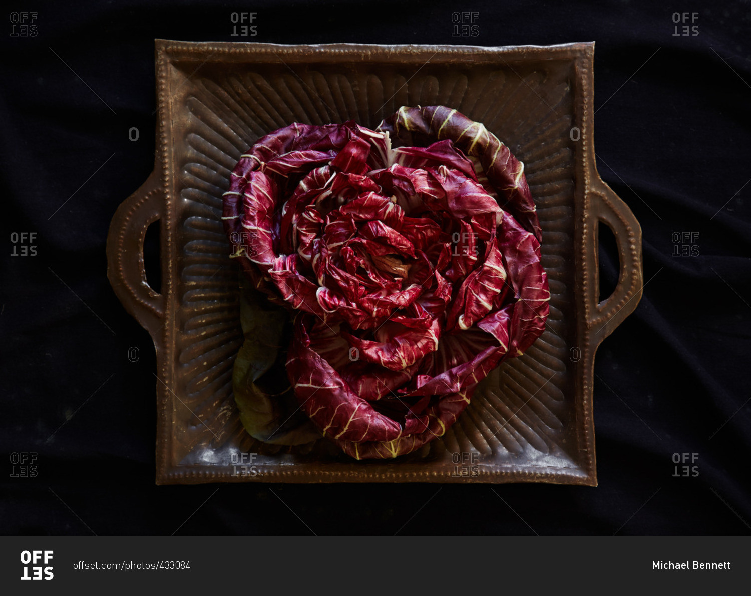 Radicchio in a served in a square dish
