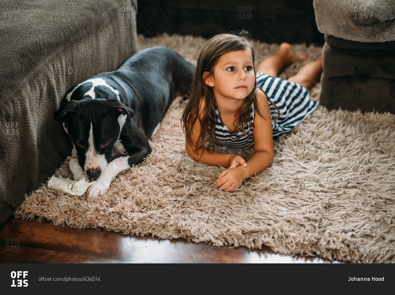 Dog chewing bone while lying on carpet with girl