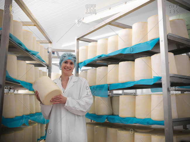 Head cheese-maker with round cheeses in cheese-making factory