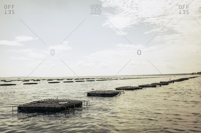 Oyster cages in the sea