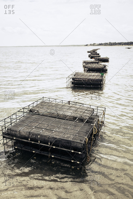 Oyster cages in the ocean