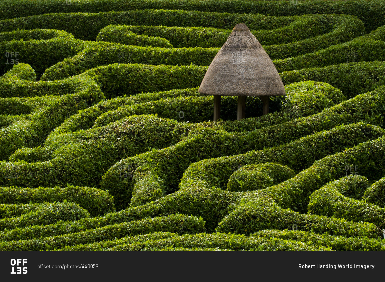 A maze in Glendurgan Garden on the Lizard peninsula in Cornwall, England, United Kingdom, Europe