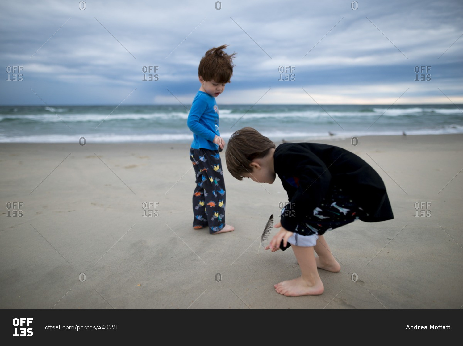 Young boys find a feather on the beach