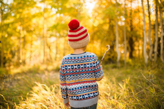 Child walking with a stick through an autumn wood