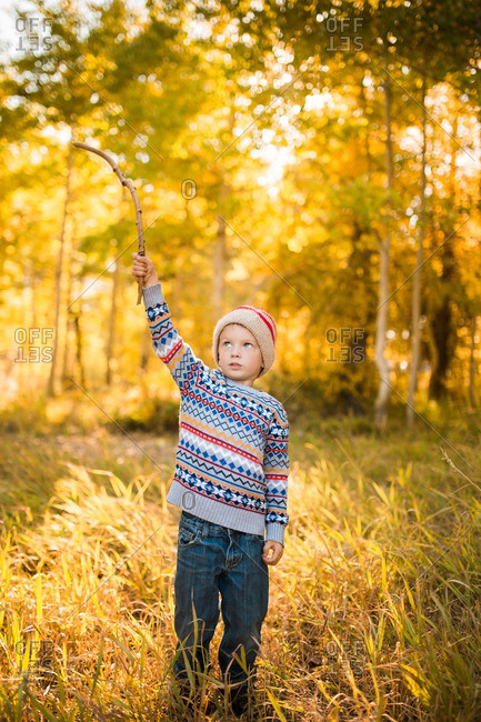 Child standing with a stick in an autumn wood