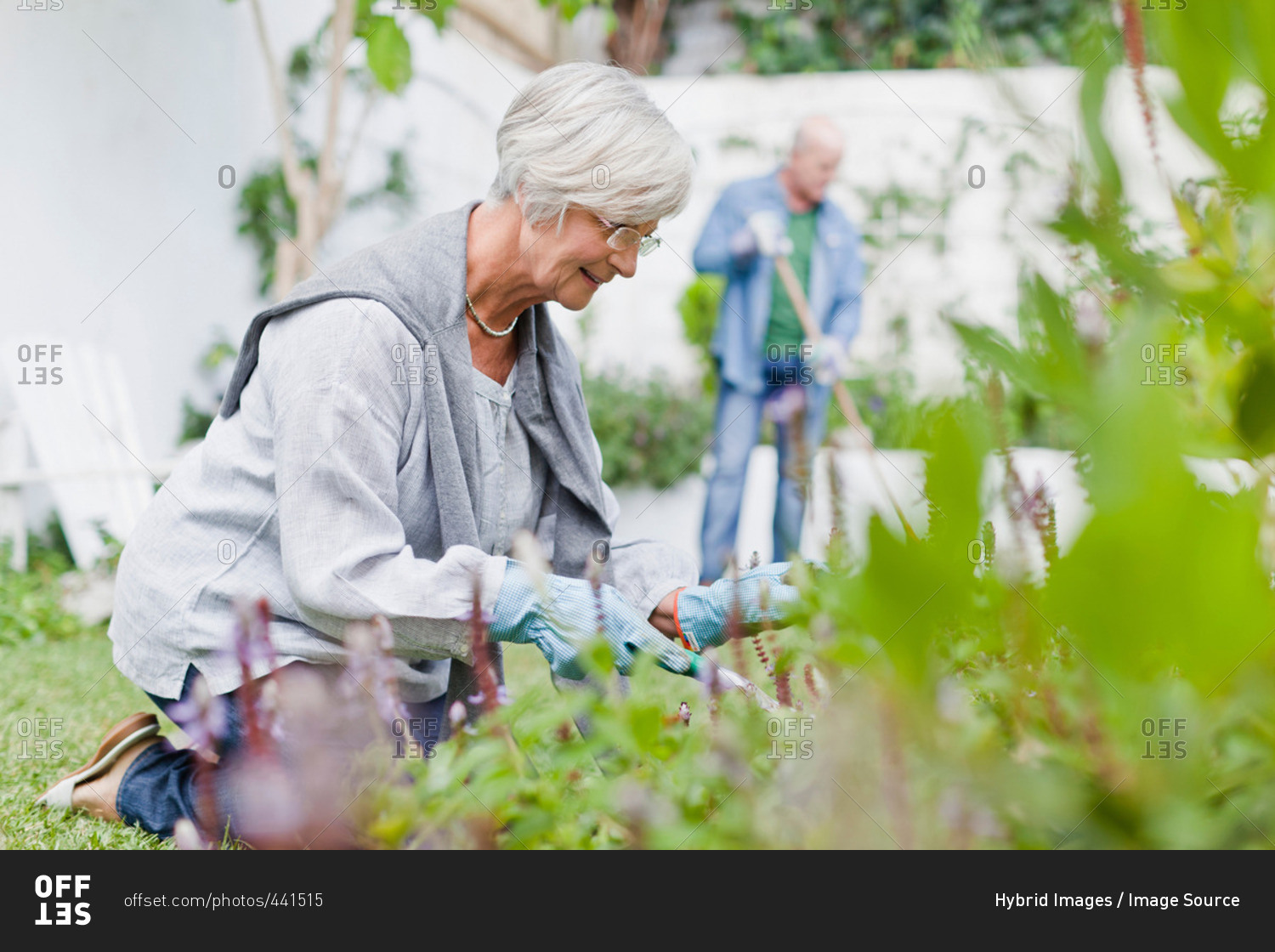 Older couple gardening in backyard