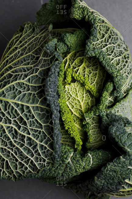 Close up of head of cabbage