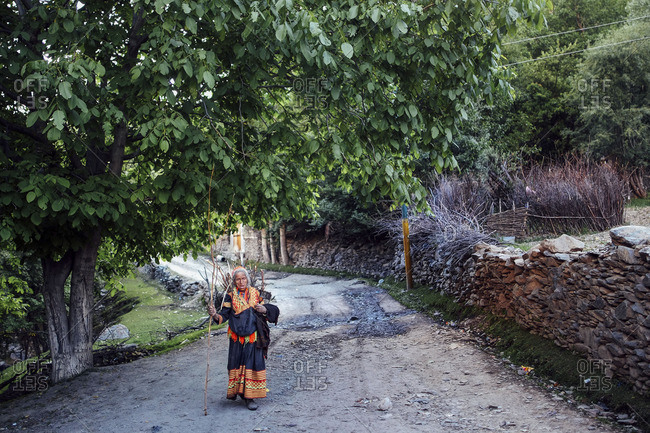 Chitral, Pakistan - May 21, 2016: A Kalash elder carrying firewood
