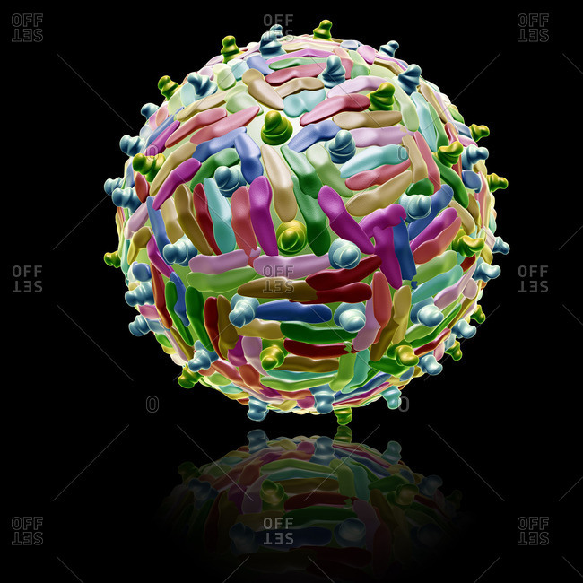 Illustration of West Nile virus particle