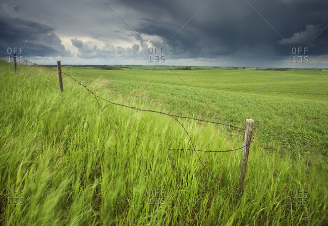 Fence and passing storm near Llyodminister, Alberta, Canada.