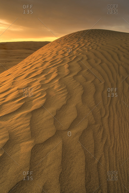 The Great Sand hills near Sceptre Saskatchewan, Canada.