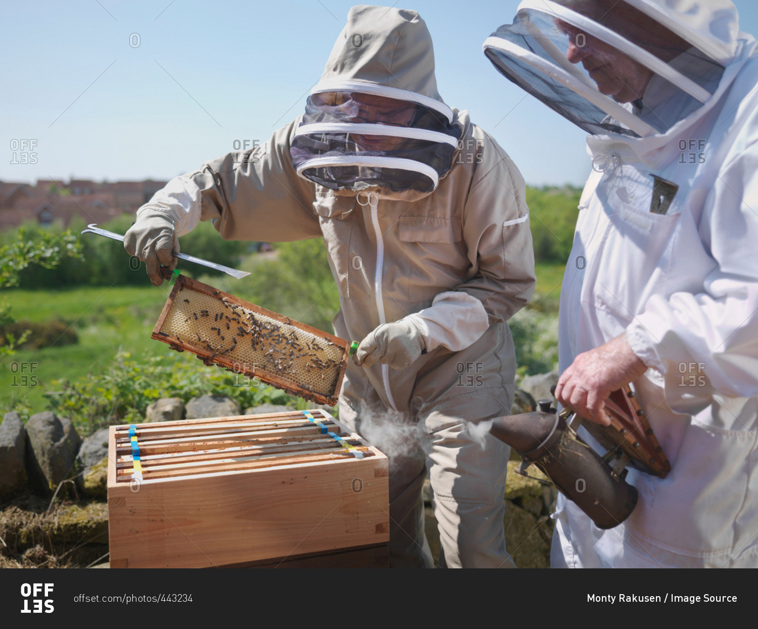 Beekeepers with honey comb and smoker
