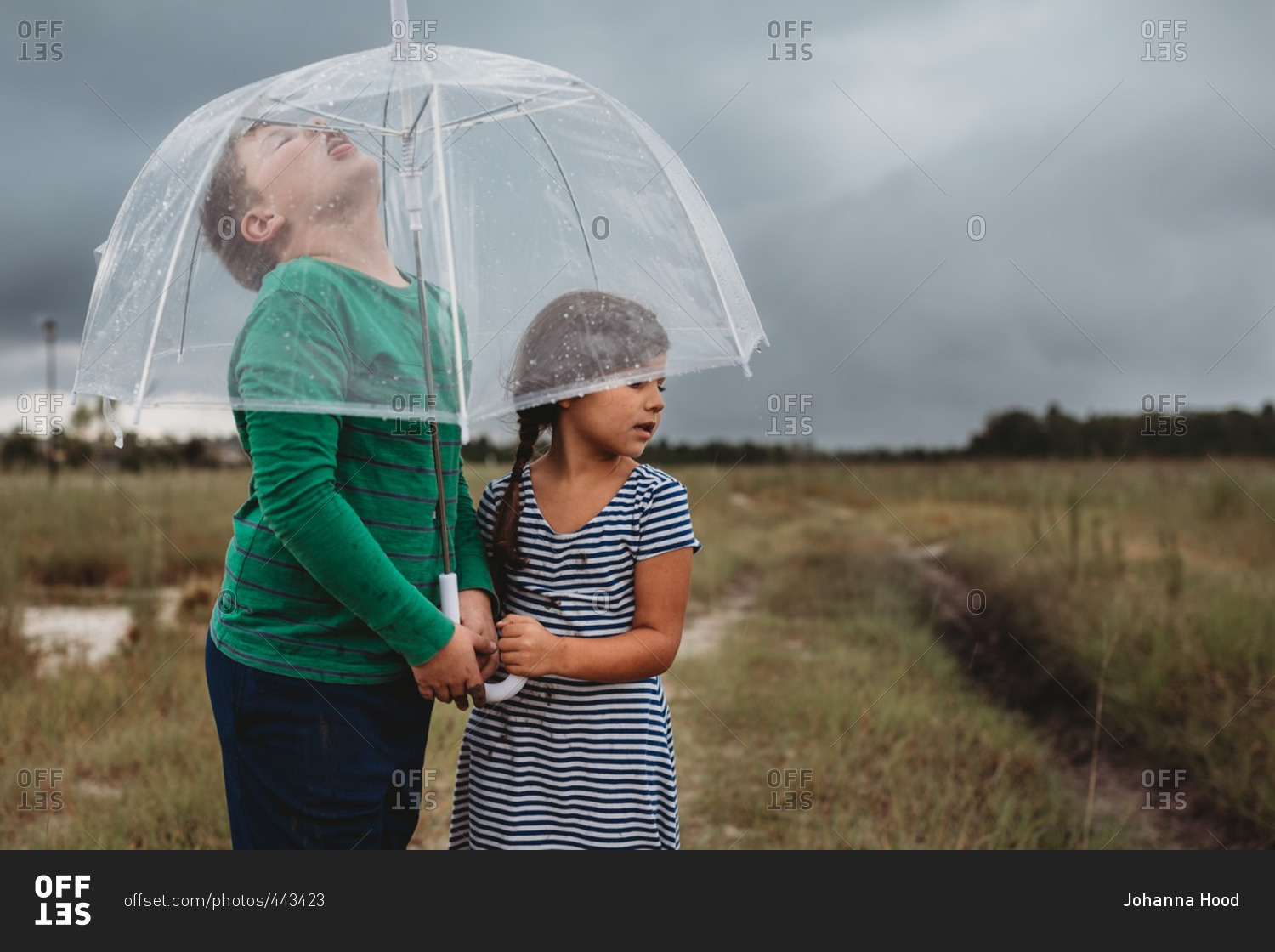 Children standing under a clear umbrella in the rain