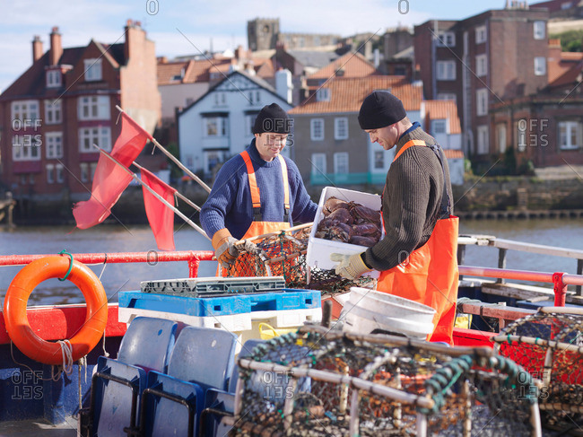 Fishermen with crabs and lobster pots