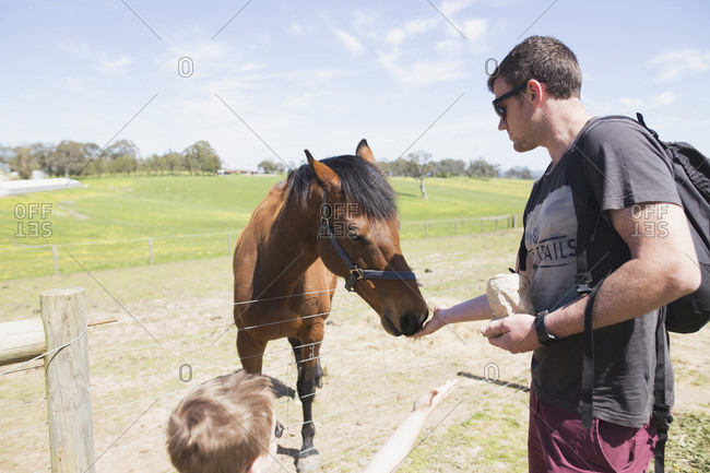 Man and boy feeding a horse
