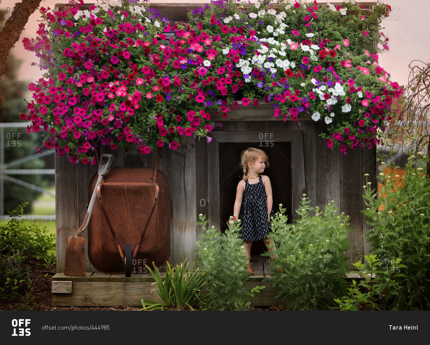 Young girl standing in doorway of shed with colorful flowers