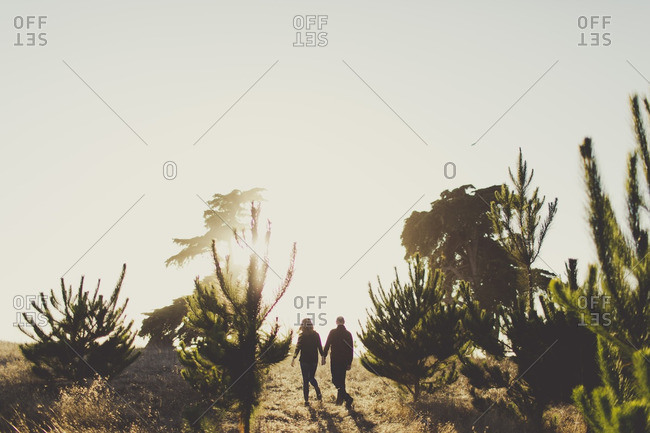 Hand-holding couple walk past bushes in desert