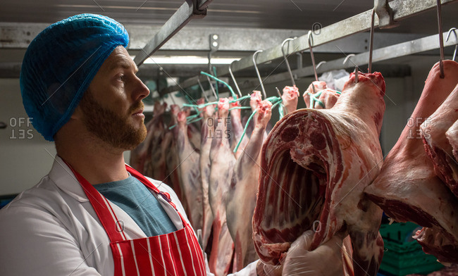 Butcher hanging red meat in storage room at butchers shop