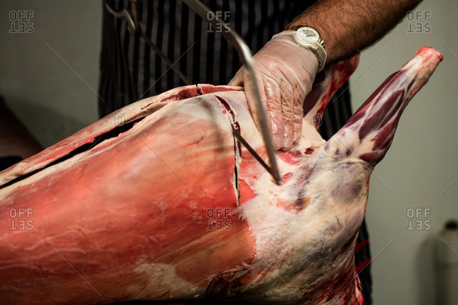 Mid section of butcher cutting pigs head with a saw in butchers shop