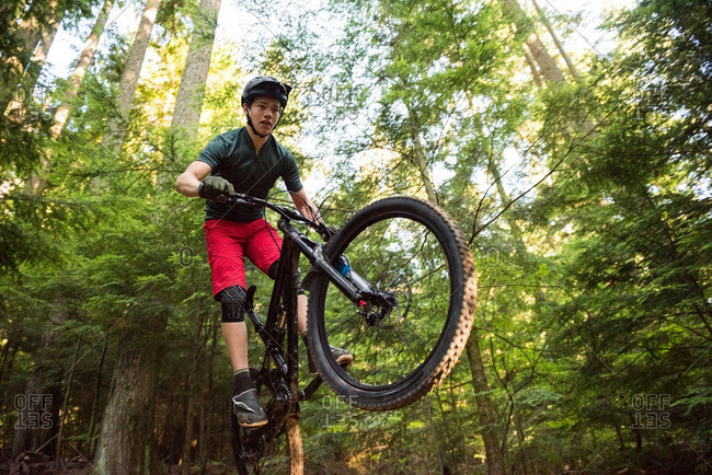 Male cyclist cycling in forest on a sunny day