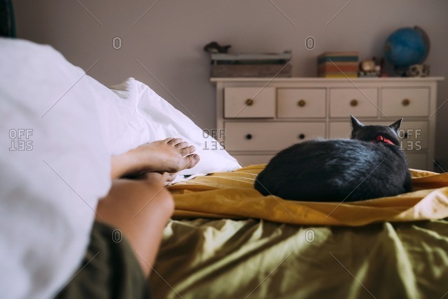 Cat sleeping on bed besides owner